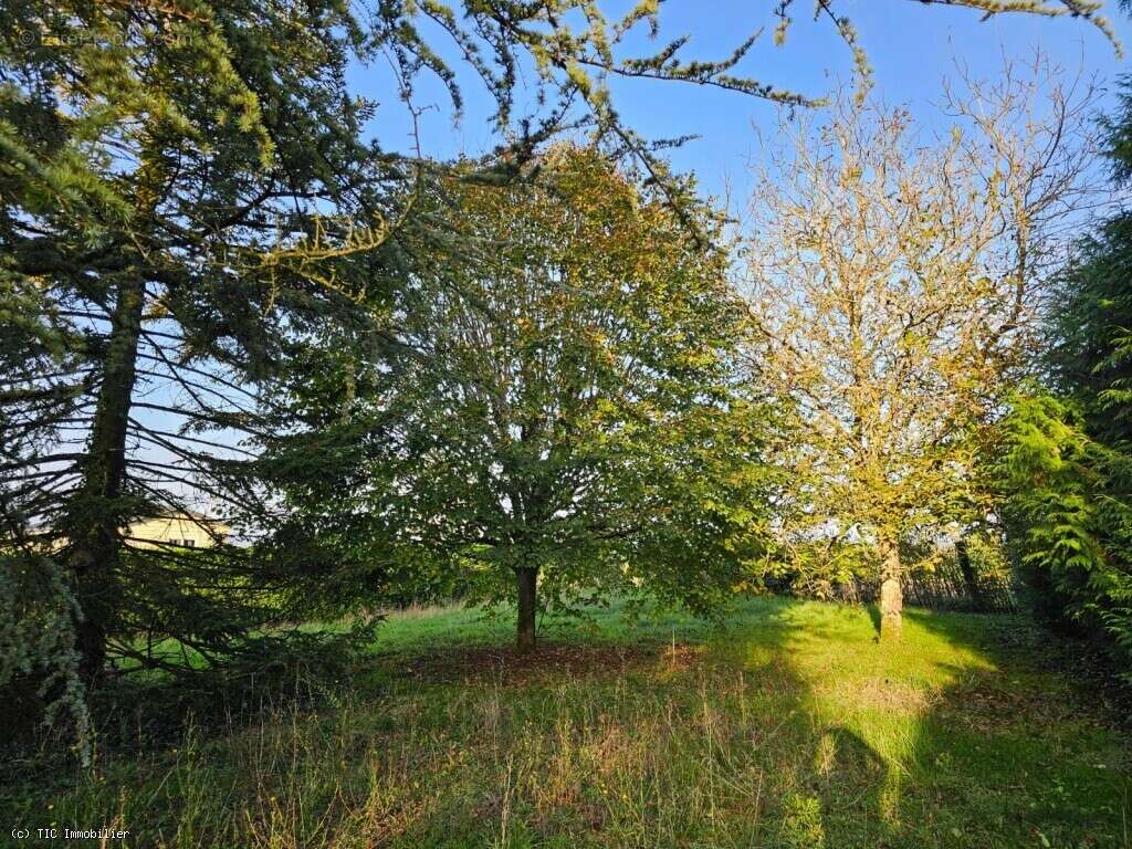 Maison à VERTEUIL-SUR-CHARENTE