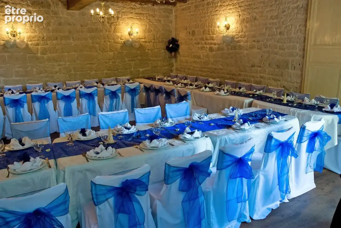 Château avec piscine chauffée,  vastes dépendances, possibilité chambres d'hôtes - photo 11