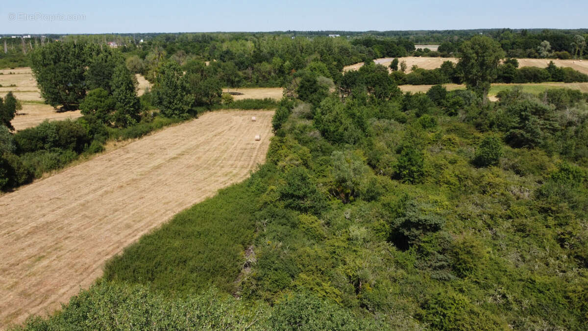 Terrain a batir à pruniers en sologne - photo 2