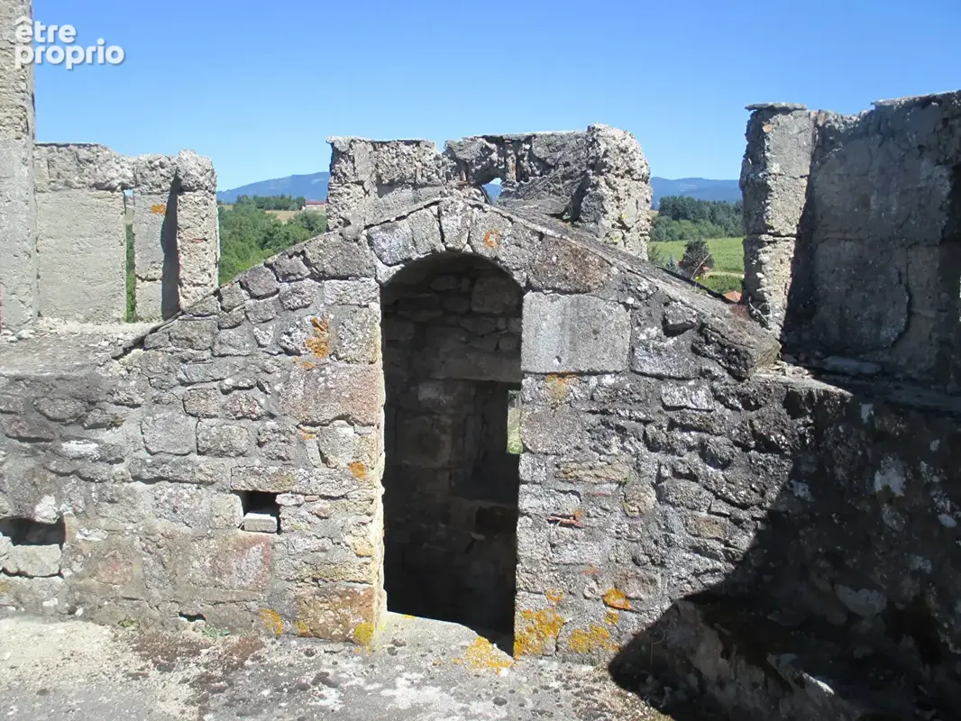 Château historique dominant les gorges de la Dore - photo 20