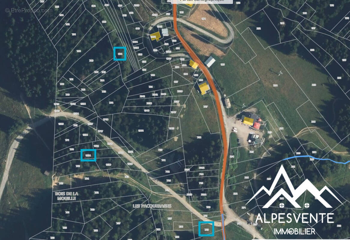 avendre-terrain-non-constructible-lesgets-alpesvente - Terrain à LES GETS