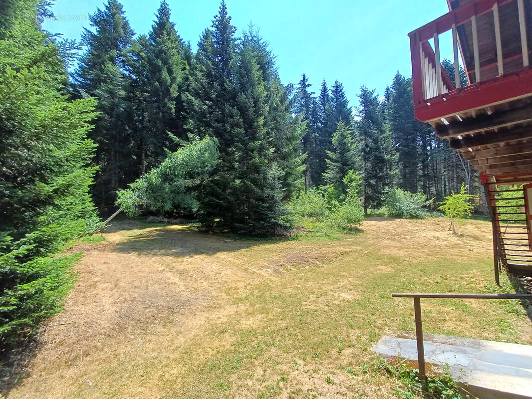 Chalet en bois sur sous sol et terrain attenant boisé - photo 3