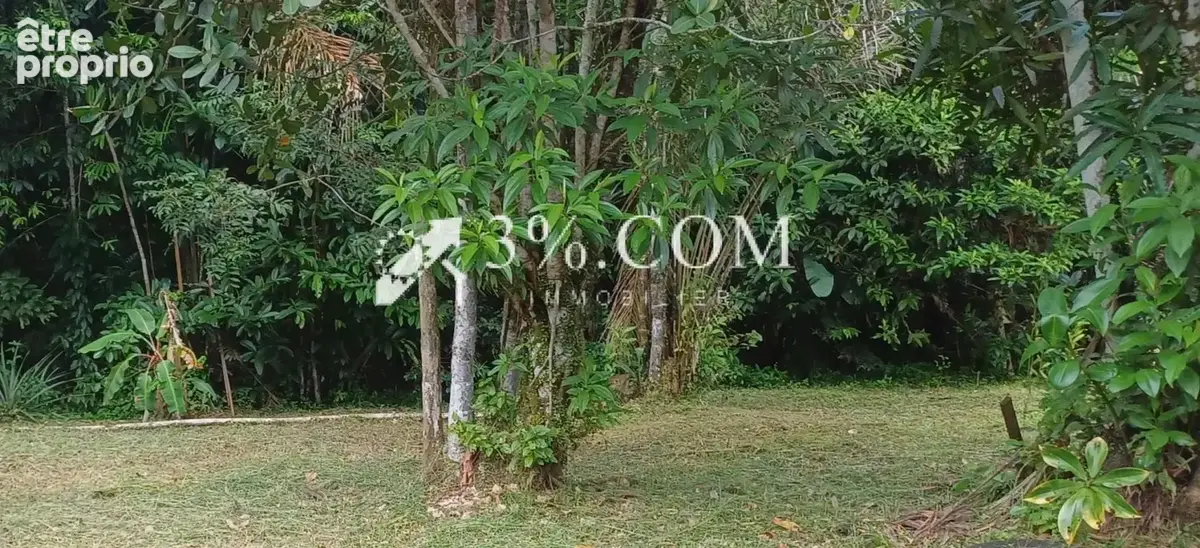 Parcelle de 8000m2 a stoupan matoury - photo 2