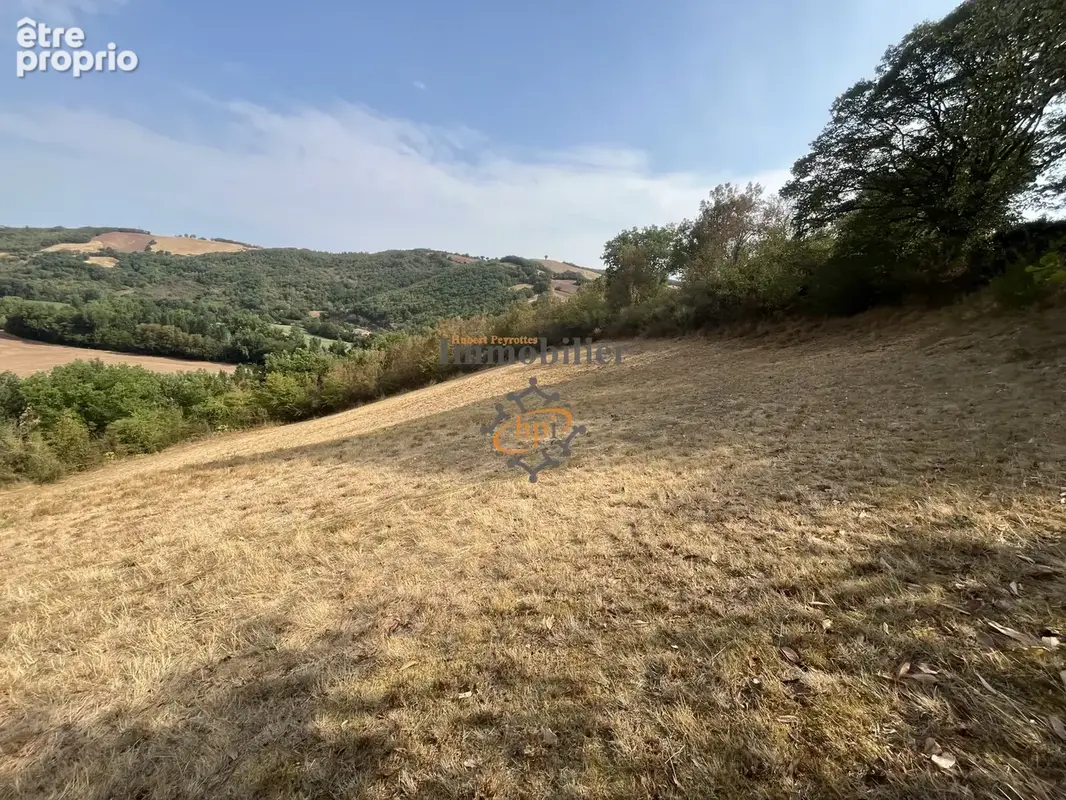 Vente maison St Affrique, secteur, 1/4 d' heure - photo 24