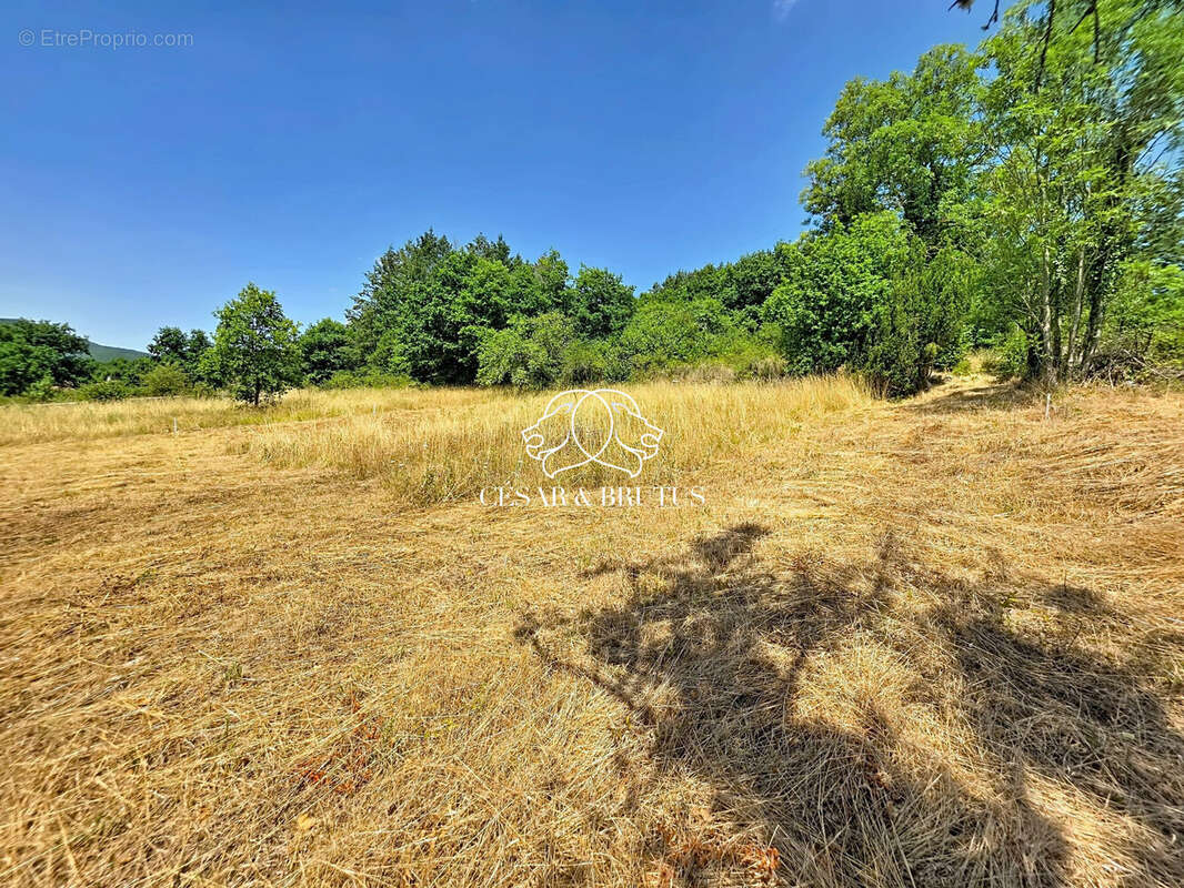 Terrain 958 m² à Saint-Vincent  - photo 3