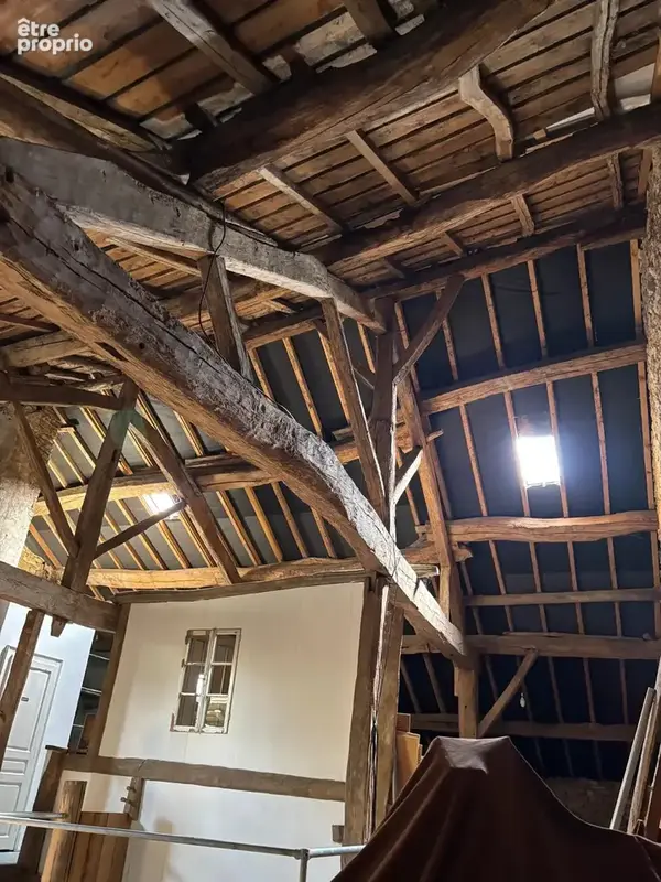 Maison de village de caractère a vendre, Haute-Marne - photo 36