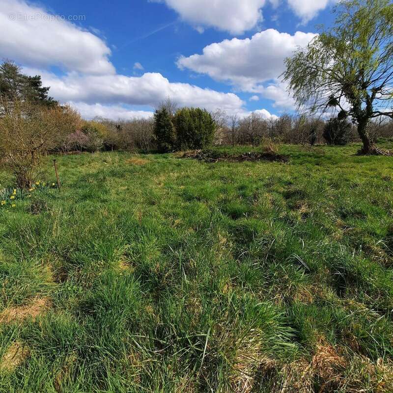 Maison à SAINT-HERBLAIN