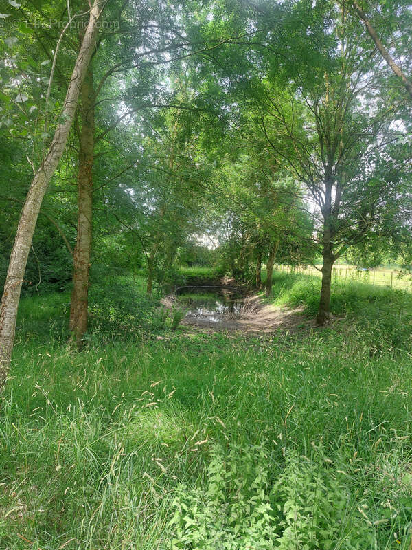 Terrain à LA FLECHE