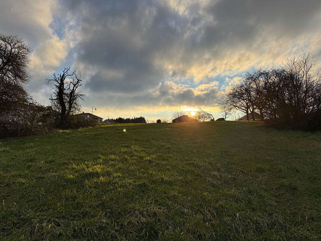 Terrain à KIRSCH-LES-SIERCK