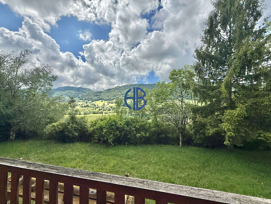Chalet  de 113 m2 + sous-sol sur 7500m2 de terrain. - photo 7