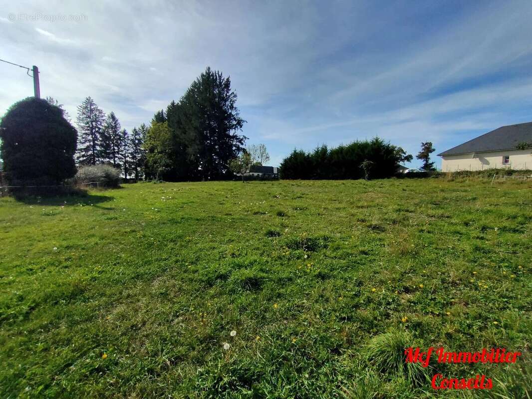 Terrain à COLOMBIES