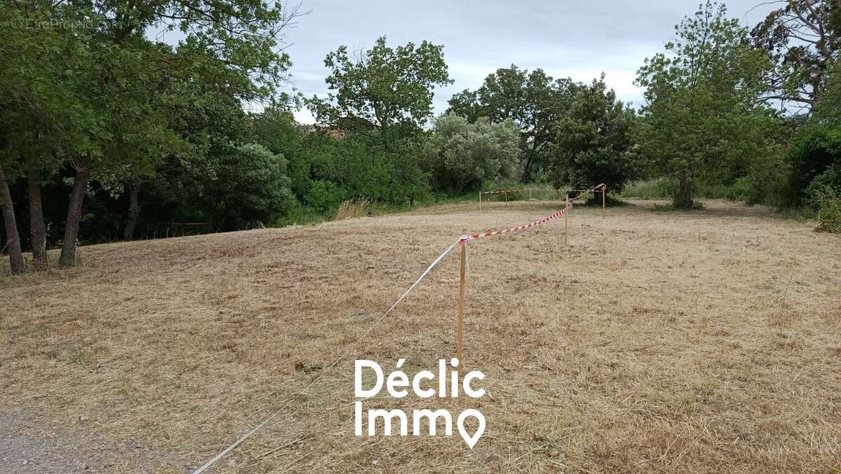 Terrain à NEFFIES