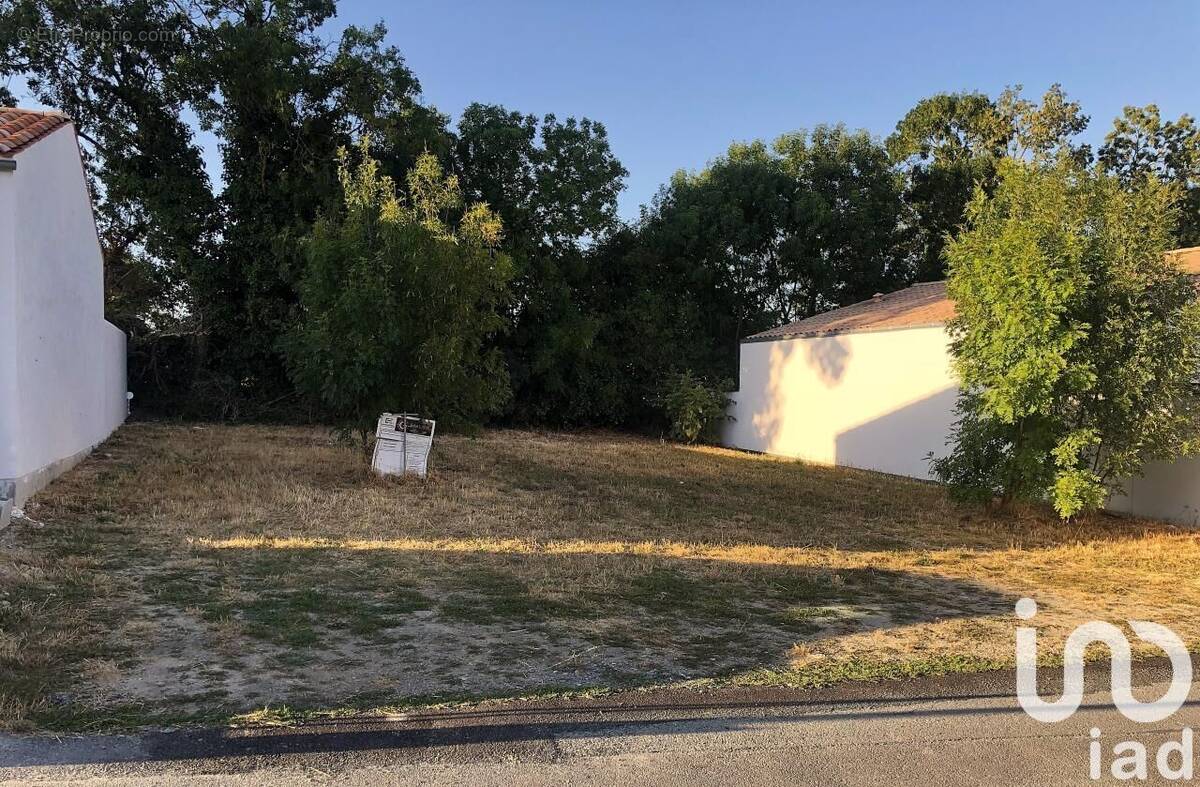 Photo 1 - Terrain à SALLES-SUR-MER