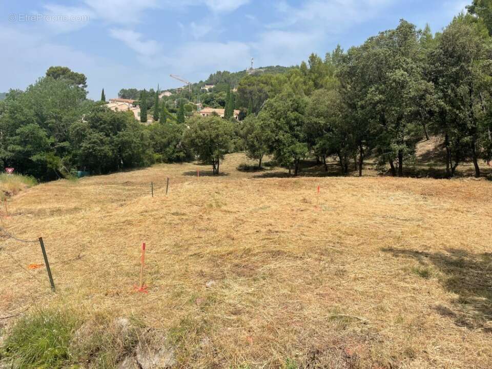 Terrain 1020 m² à Taradeau  - photo 2