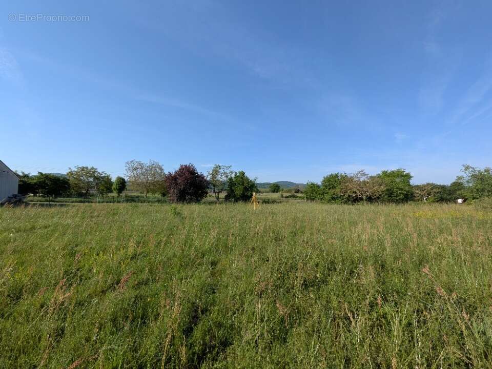 Terrain 1851 m² à Palaminy  - photo 2