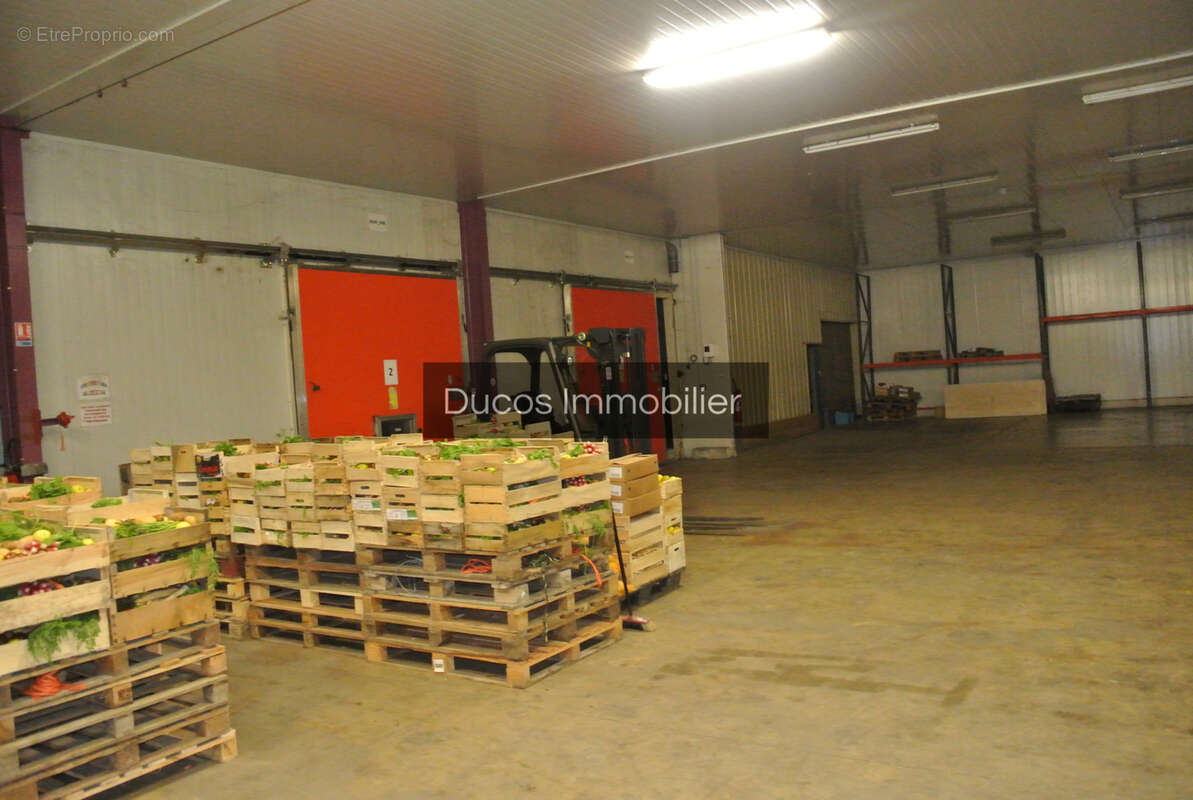 À vendre   Bâtiment professionnel à Marmande - photo 4