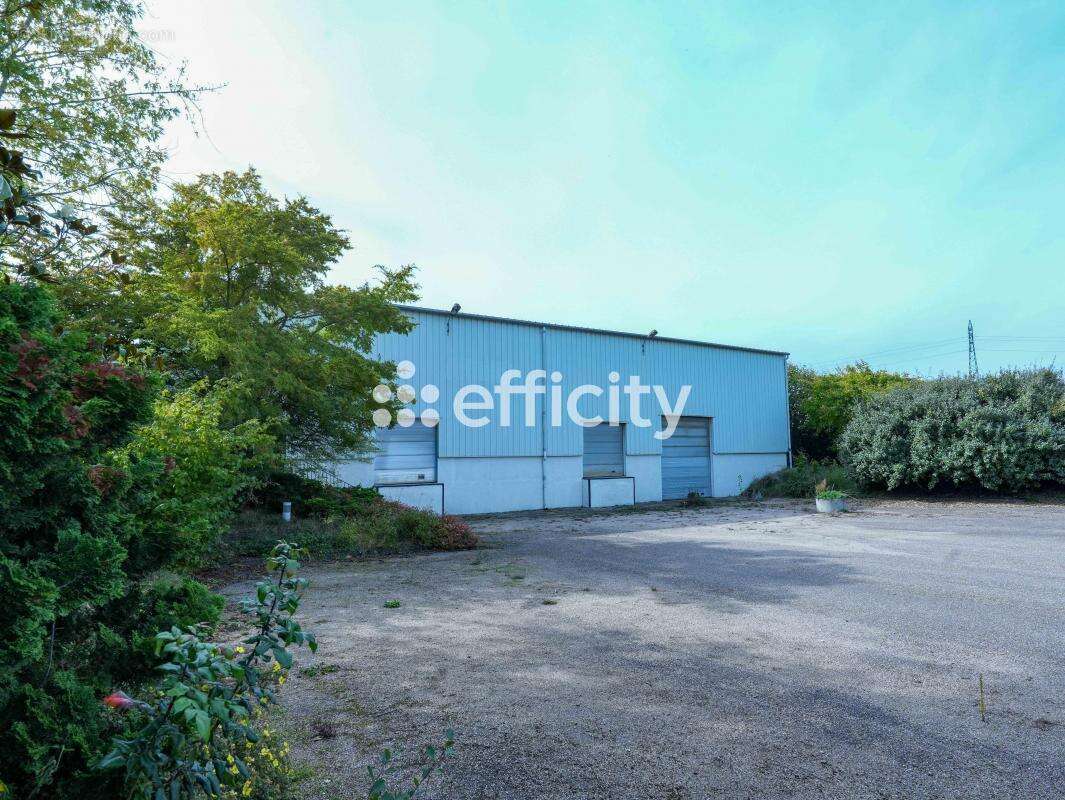 Maison à SAINT-CYR-EN-VAL