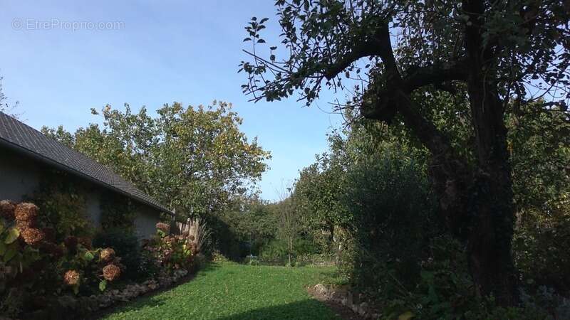 Maison à GRAINVILLE-LA-TEINTURIERE