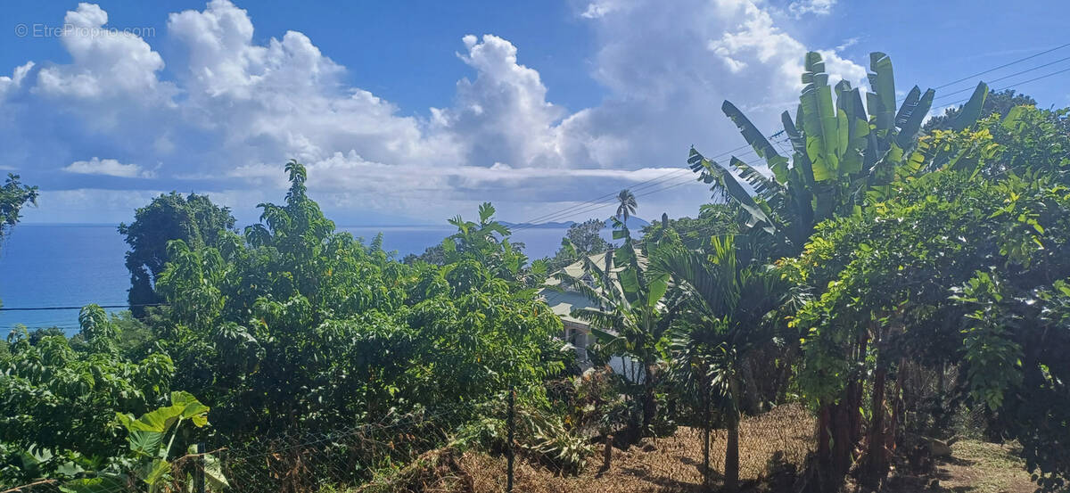 Maison à CAPESTERRE-BELLE-EAU