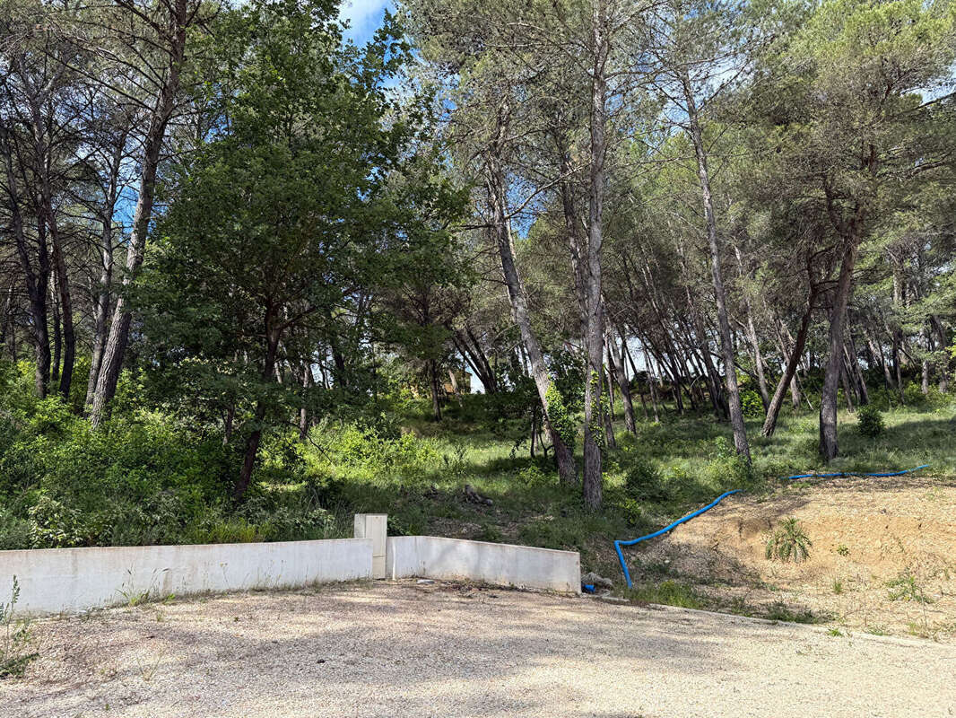 Terrain à LA ROQUE-D'ANTHERON