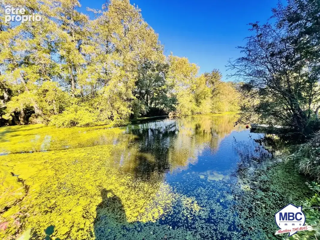 Propriété avec forêt, piscine et étang sur 1,48 hectare. - photo 13
