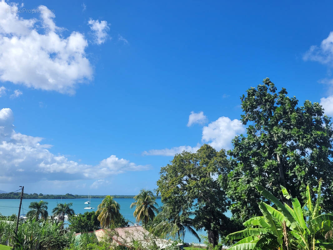 Appartement à BAIE-MAHAULT