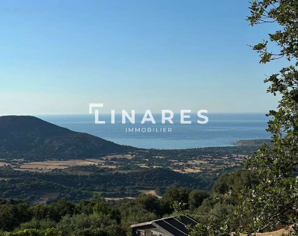 HAVRE DE PAIX - Terrain plat de 2419m2 - Vue panoramique - 20260 Lavatoggio/Balagne - photo 5