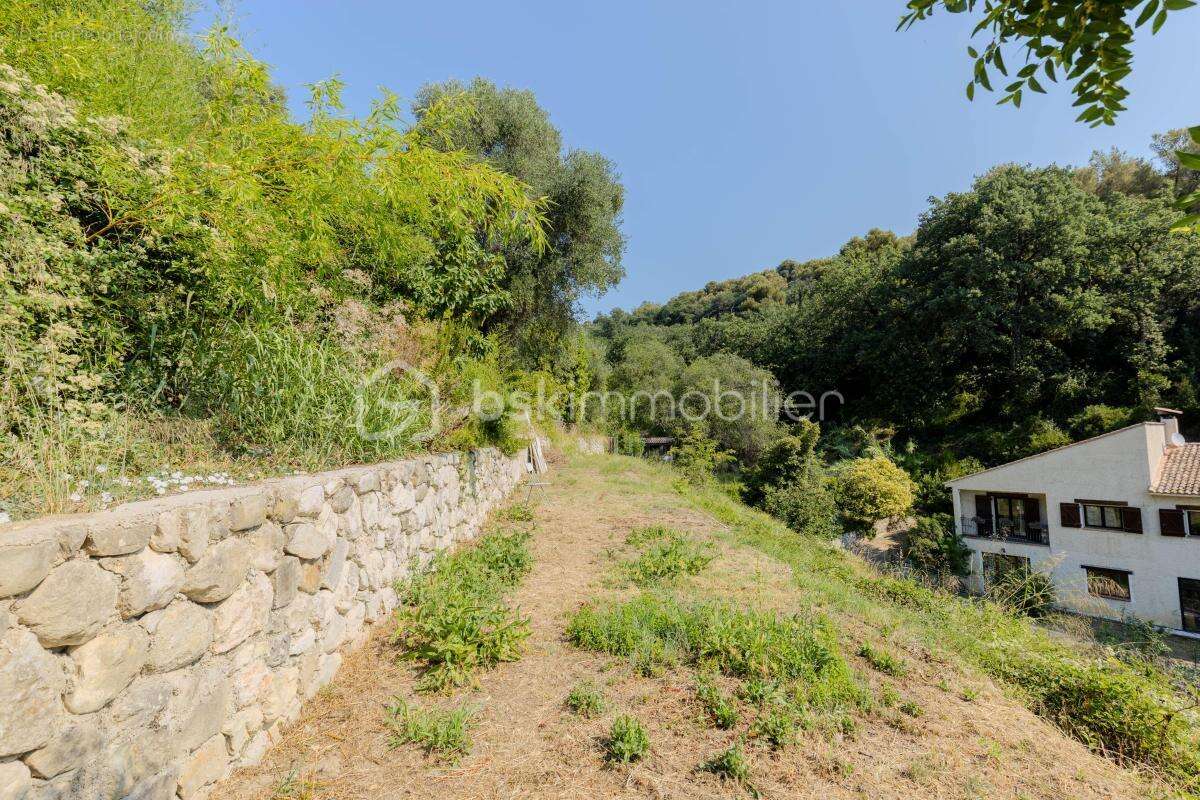 Menton - Val de Gorbio : Propriété vue mer sur terrain de 2 498 m² - photo 28