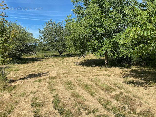 Terrain à BOURG-LE-COMTE