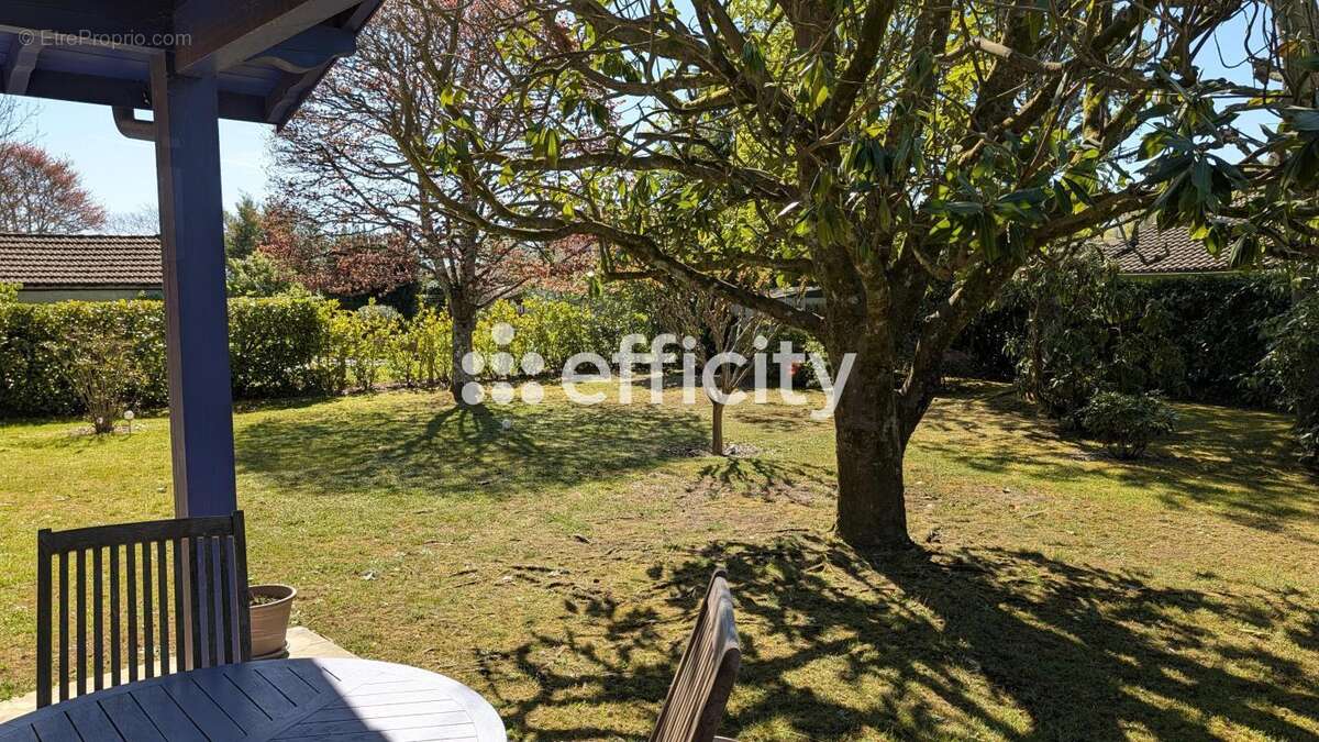 Maison à SAINT-PIERRE-DU-MONT