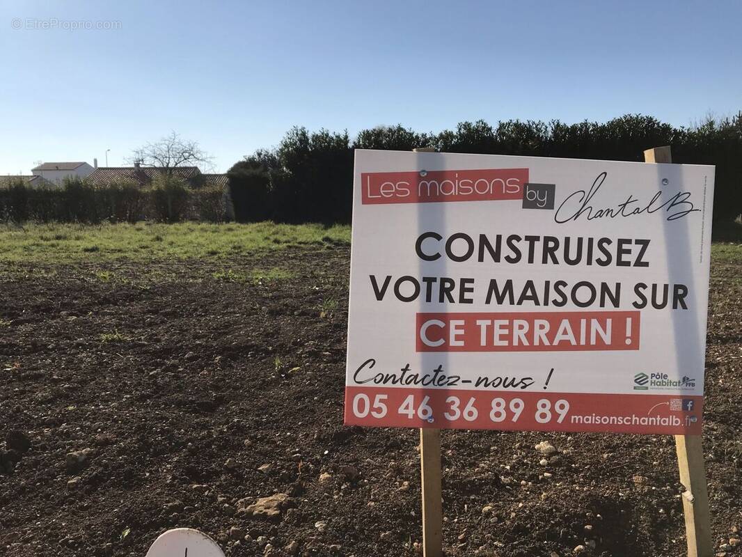 Terrain à LOIRE-LES-MARAIS