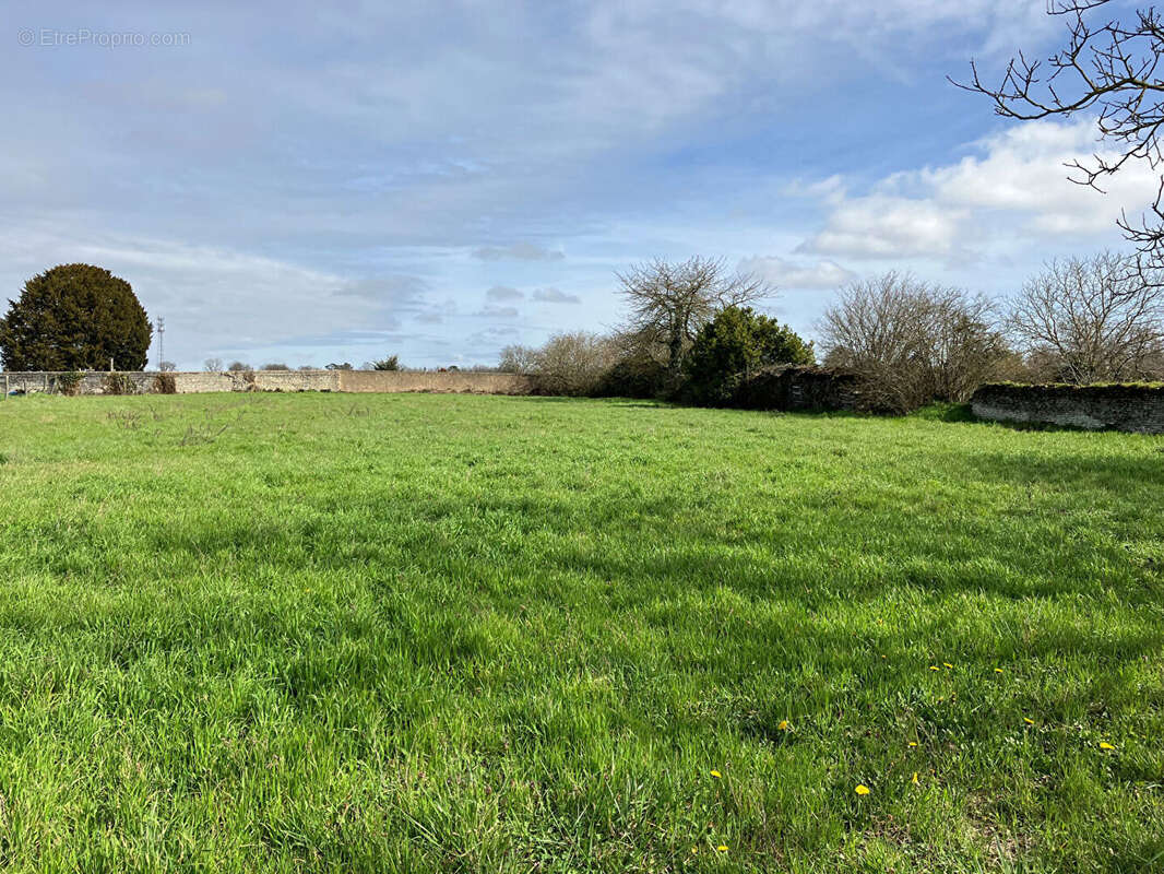 Terrain à MONTS-SUR-GUESNES
