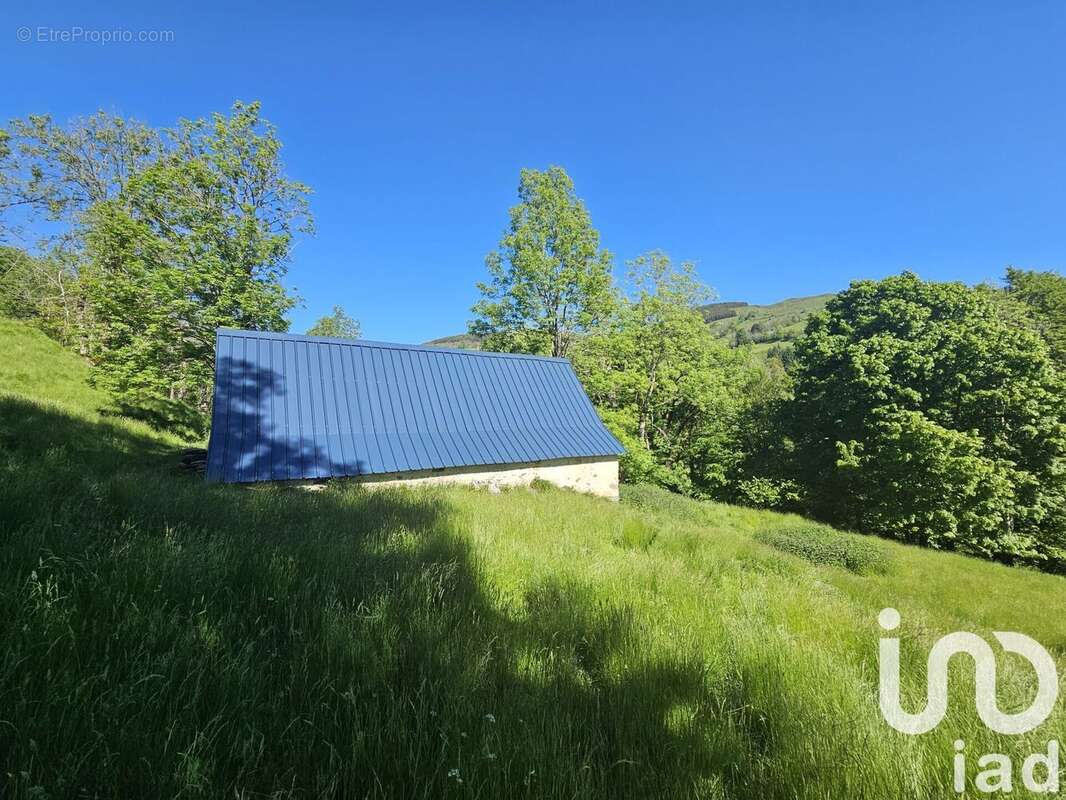 Photo 6 - Maison à ARRENS-MARSOUS