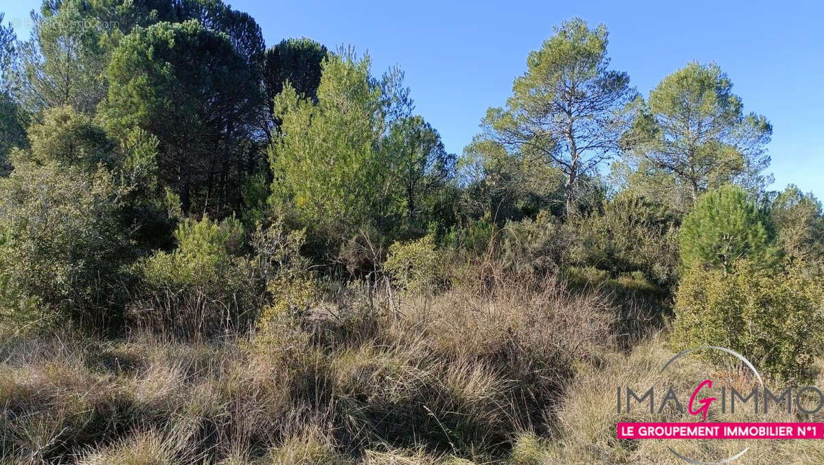 Terrain à MONTARNAUD