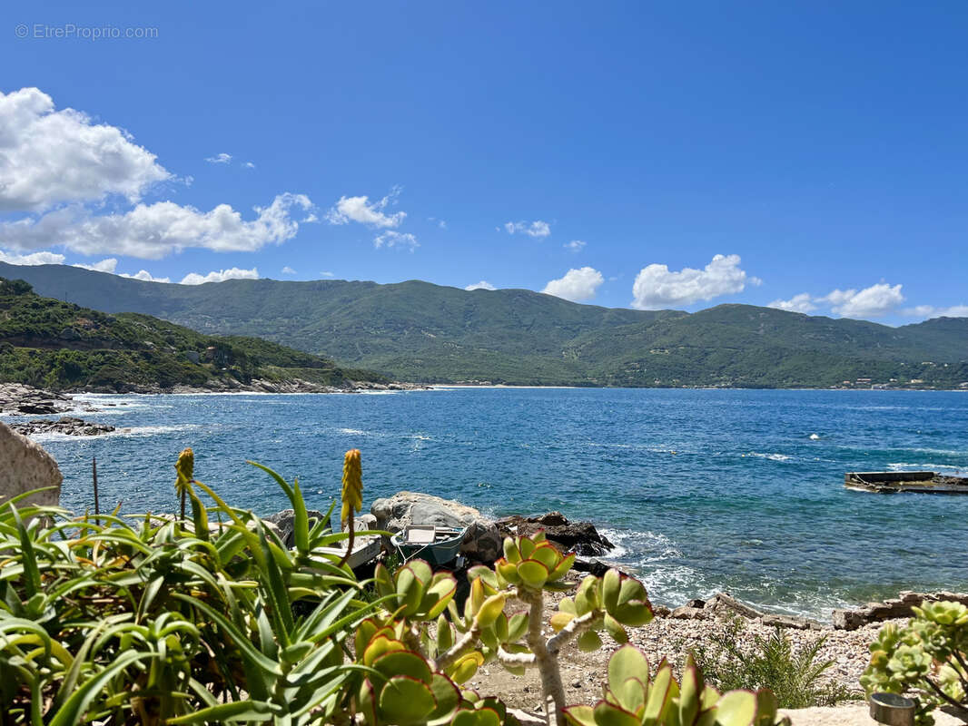 Appartement terrasses vue mer - photo 35