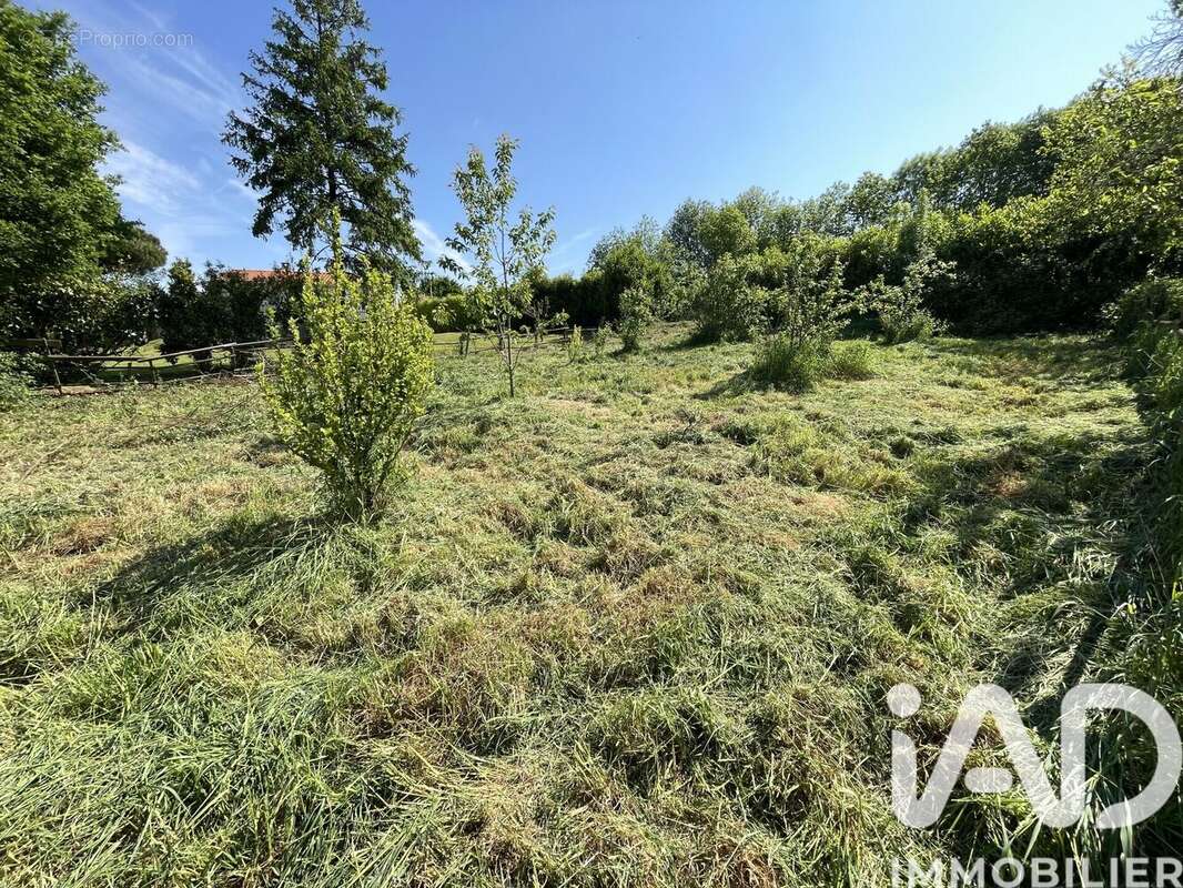Photo 2 - Terrain à MONTOURNAIS