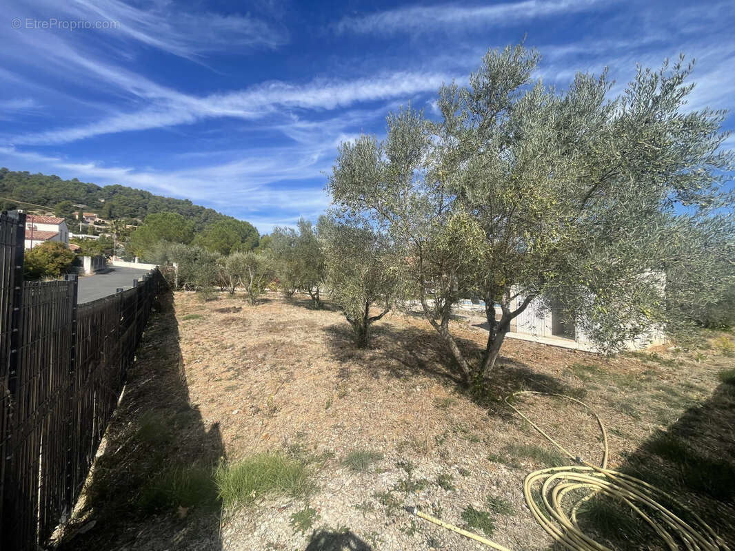 Terrain à CLERMONT-L&#039;HERAULT