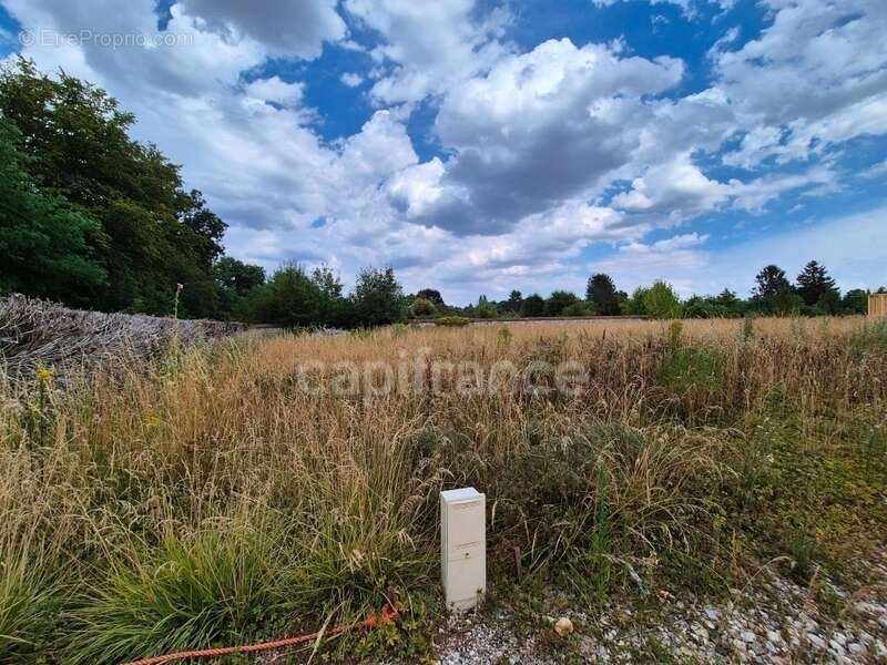 Terrain viabilisé à bâtir - 647,00 m² - Libre constructeur - photo 3