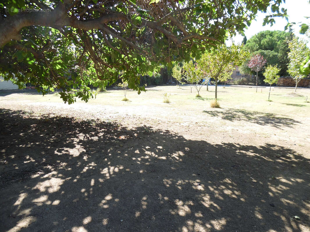 Terrain à FLEURY