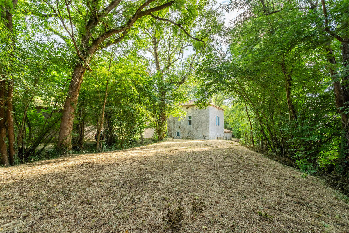 Moulin à eau en pierre - photo 25