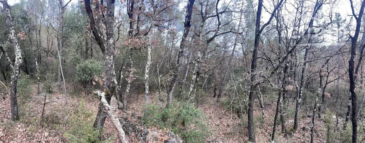 Terrain à FIGANIERES