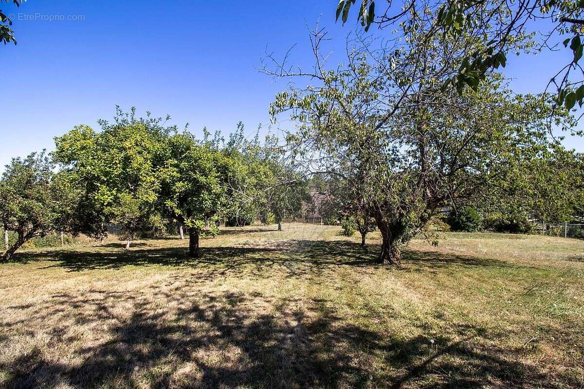 Maison à VILLEFARGEAU