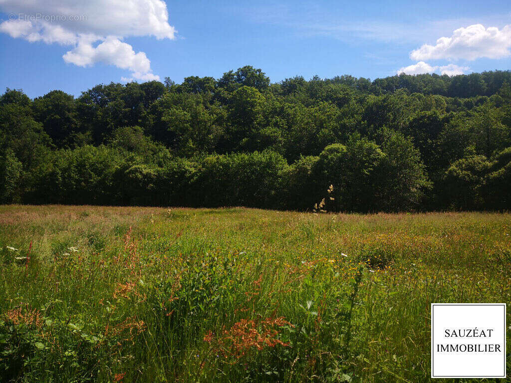 Maison à L&#039;EGLISE-AUX-BOIS