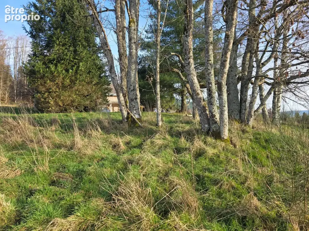 Belle Ferme Vosgienne sur grand terrain au calme - photo 6