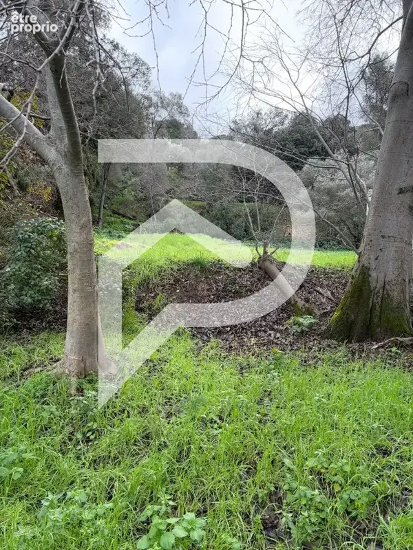 Terrain 900m2 constructible Marseille 13013 - photo 2