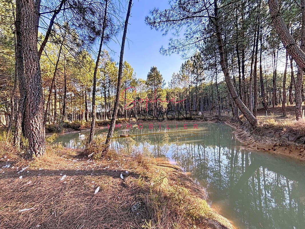 À 30 minutes de Bordeaux et 45 minutes d’Arcachon, domaine avec 2 étangs sur 15 hectares - photo 14