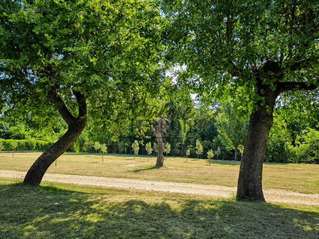 A proximité d'Uzès, très belle Propriété provençale de 240m2 sur 6000m2 de jardin méditéranéen - photo 7