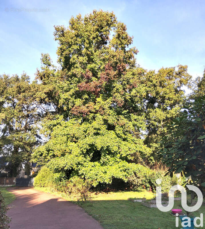 Photo 3 - Maison à GUERANDE