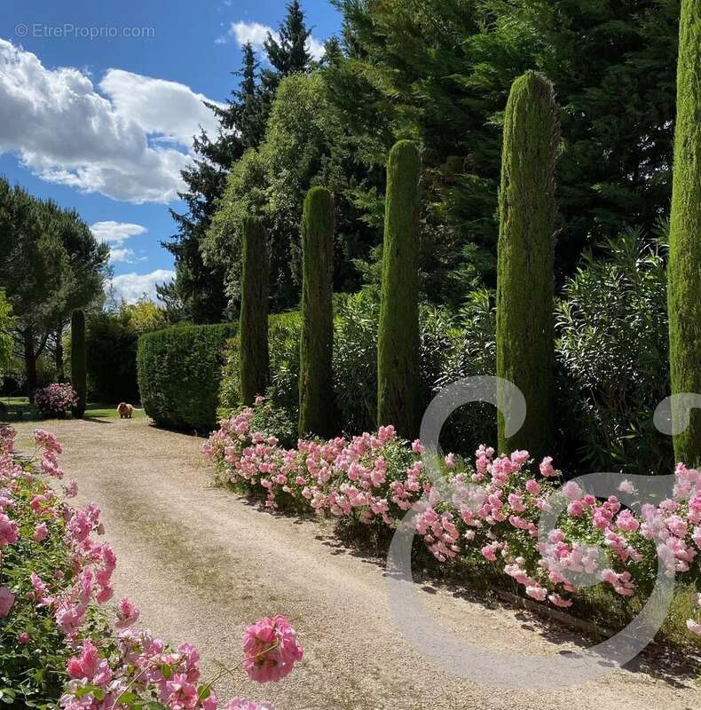 Maison à SAINT-REMY-DE-PROVENCE