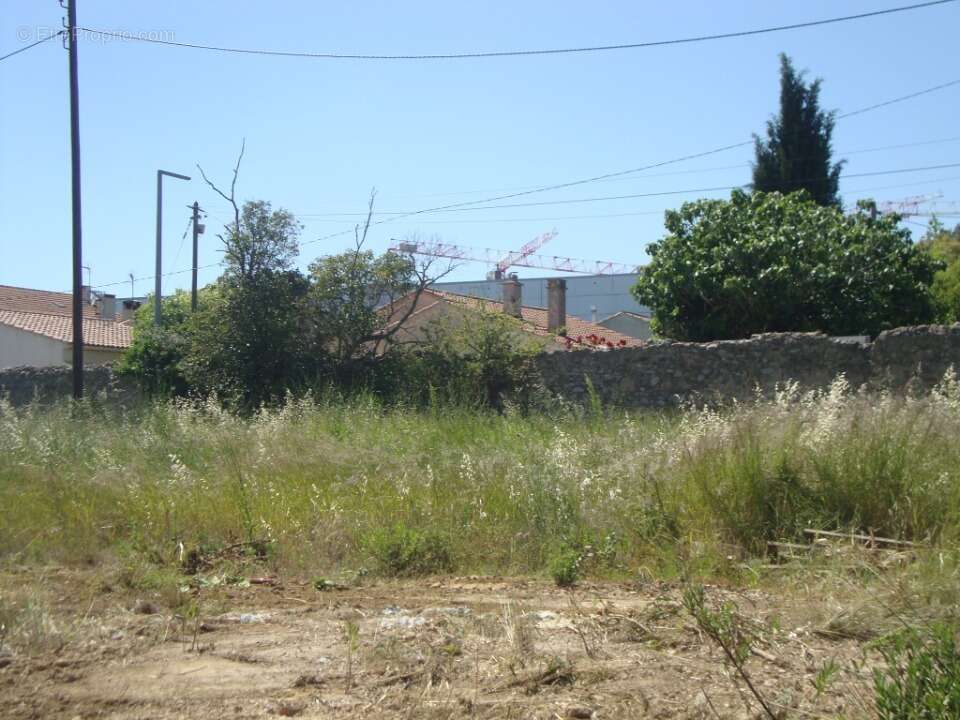 Terrain 255 m² à Hyeres  - photo 2